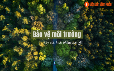Môi trường đang chết dần chết mòn, bạn đã làm gì để bảo vệ!